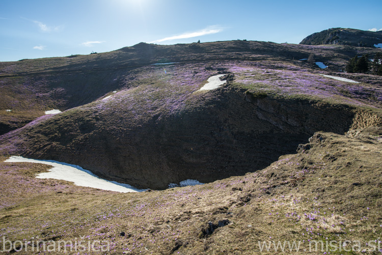 BorinaMisica-6VelikaP-91