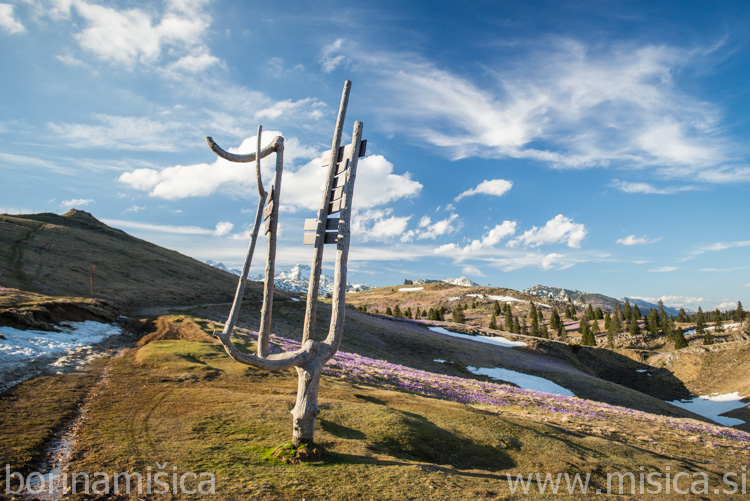 BorinaMisica-9bVelikaP-146